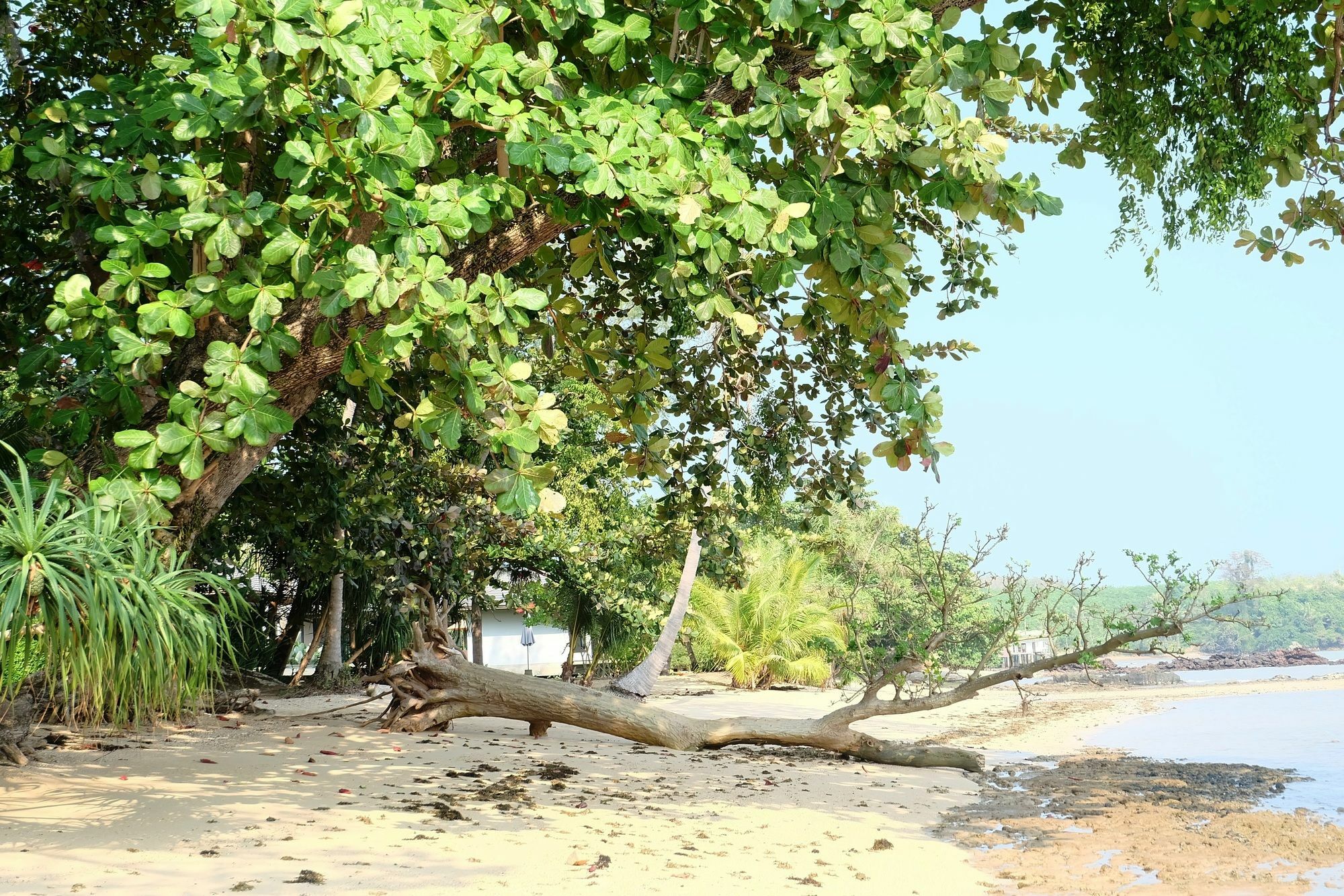 Plub Pla Koh Mak Retreat Hotel Luaran gambar